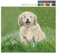 /album/paintings/%ea%b9%80%ec%88%98%ec%97%b0-smiling-dog-jpg/